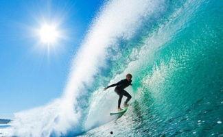 娱乐冲浪吃瓜社,娱乐圈幕后那些事儿