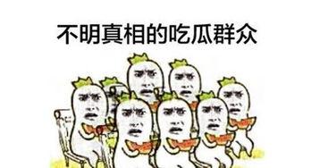 怎么画吃瓜群众图片大全,趣味横生的图片大全解析