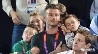 娱乐吃瓜酱爸爸在线观看,揭秘网络红人背后的故事